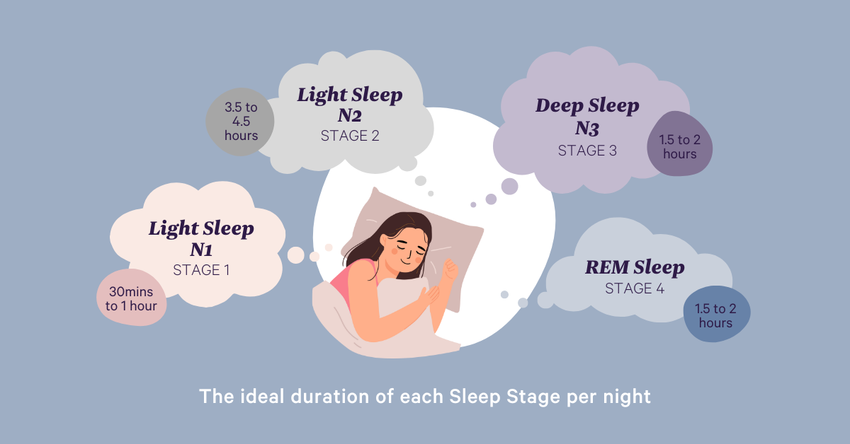 The Science Behind Sleep Cycles | Sleepyhead NZ